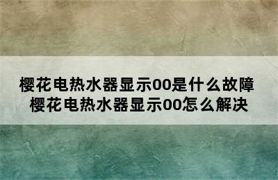 樱花电热水器显示00是什么故障 樱花电热水器显示00怎么解决